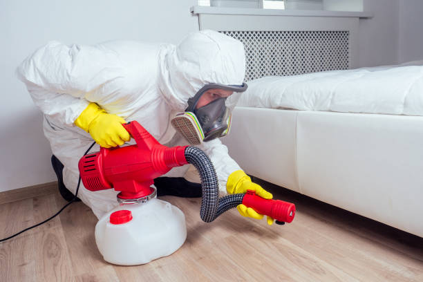 Best Indoor Pest Control  in Merrydale, LA